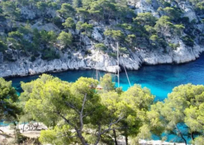 Calypso Cassis
