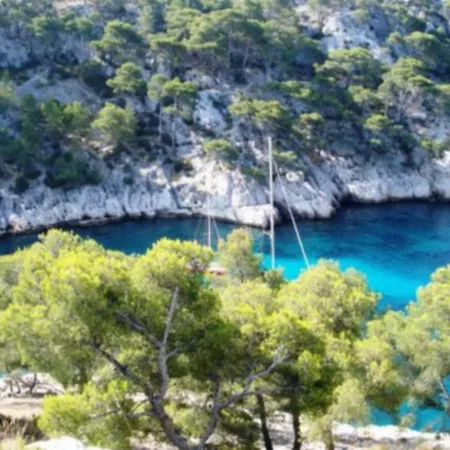 Calypso Cassis